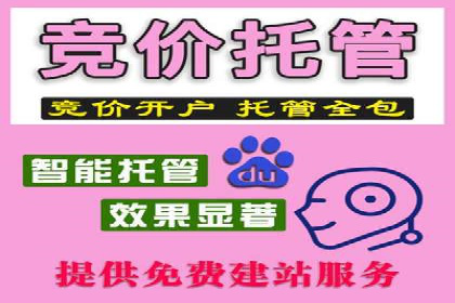 成功SEM开户：策略、执行与效果